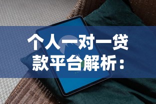 个人一对一贷款平台解析：如何安全高效借款