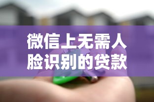 微信上无需人脸识别的贷款平台有哪些？真实推荐与注意事项