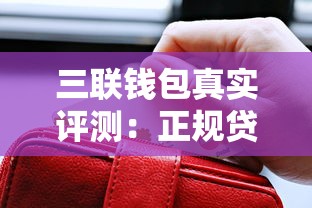 三联钱包真实评测：正规贷款平台的安全性与服务解析