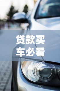 贷款买车必看：权威征信查询平台官网指南