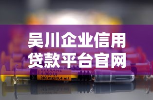 吴川企业信用贷款平台官网：企业快速融资指南