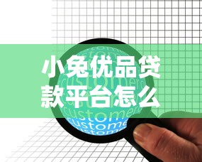 小兔优品贷款平台怎么样？真实评测+用户反馈解析