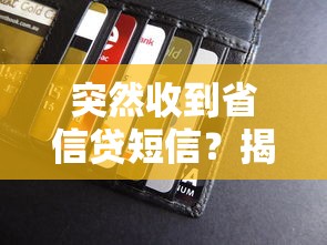 突然收到省信贷短信？揭秘省信贷是什么贷款平台