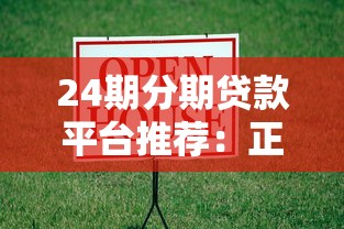 24期分期贷款平台推荐：正规渠道低息借款攻略
