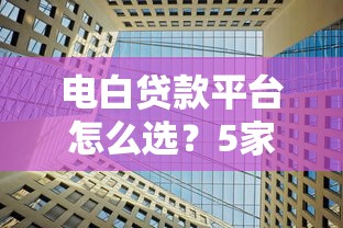 电白贷款平台怎么选？5家靠谱机构深度对比
