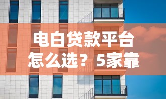 电白贷款平台怎么选？5家靠谱机构深度对比