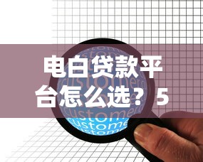 电白贷款平台怎么选？5家靠谱机构深度对比