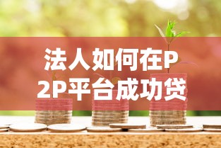法人如何在P2P平台成功贷款？10个关键步骤与避坑指南