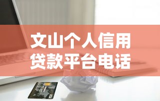 文山个人信用贷款平台电话大全：正规渠道快速申请指南
