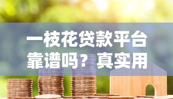 一枝花贷款平台靠谱吗？真实用户评测与避坑指南