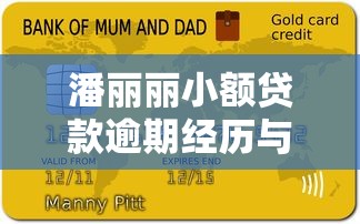 潘丽丽小额贷款逾期经历与应对指南