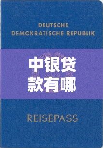 中银贷款有哪些正规平台？五大官方渠道及申请全攻略