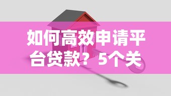 如何高效申请平台贷款？5个关键步骤助你快速下款