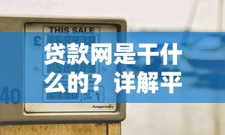 贷款网是干什么的？详解平台功能与选择技巧