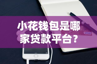 2025网黒借款口子实测：这三个平台放款快得像坐火箭