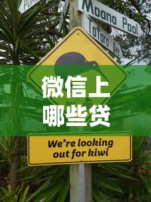 微信上哪些贷款平台不上征信？这几点必须了解