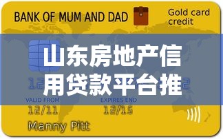 山东房地产信用贷款平台推荐及申请全攻略