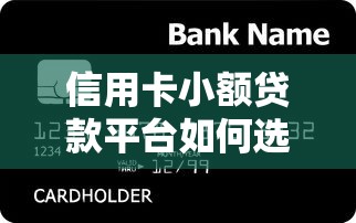 信用卡小额贷款平台如何选？5大要点助你快速下款