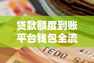 贷款额度到账平台钱包全流程解析：步骤详解与注意事项