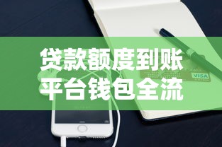 贷款额度到账平台钱包全流程解析：步骤详解与注意事项