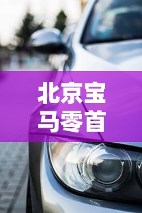 北京宝马零首付贷款平台推荐及申请全攻略
