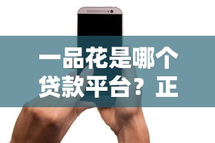 一品花是哪个贷款平台?正规贷款产品详情及用户评测 一品花是哪个贷款平台?正规贷款产品详情及用户评测