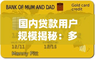 国内贷款用户规模揭秘:多少人使用平台借钱? 国内贷款用户规模揭秘:多少人使用平台借钱?