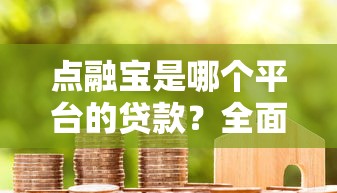 点融宝是哪个平台的贷款?全面解析点融网贷款产品 点融宝是哪个平台的贷款?全面解析点融网贷款产品