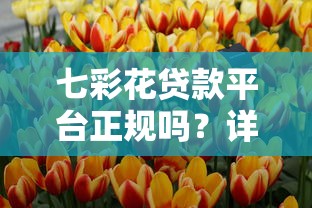 七彩花贷款平台正规吗？详细测评其靠谱性与安全性