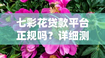七彩花贷款平台正规吗？详细测评其靠谱性与安全性