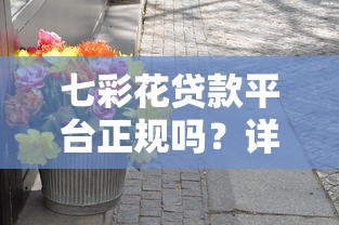 七彩花贷款平台正规吗？详细测评其靠谱性与安全性