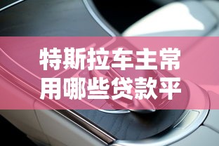 特斯拉车主常用哪些贷款平台?五大渠道对比解析 特斯拉车主常用哪些贷款平台?五大渠道对比解析