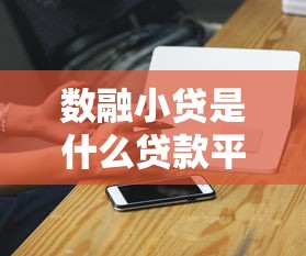 数融小贷是什么贷款平台？资质、利率与风险全面解析