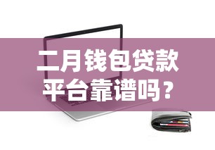 二月钱包贷款平台靠谱吗？最新申请攻略解析