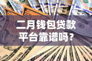 二月钱包贷款平台靠谱吗？最新申请攻略解析