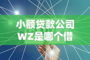 小额贷款公司WZ是哪个借款平台？正规小额贷产品解析