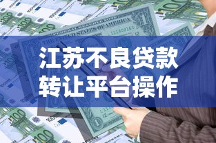 江苏不良贷款转让平台操作流程及政策解读