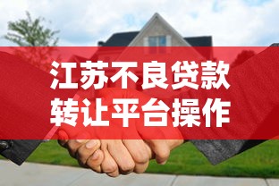 江苏不良贷款转让平台操作流程及政策解读