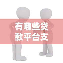 有哪些贷款平台支持长期借款？选择年限久的平台要注意这些