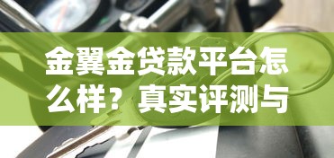 金翼金贷款平台怎么样？真实评测与用户反馈解析