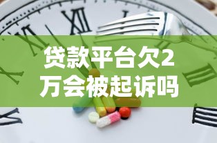贷款平台欠2万会被起诉吗？真实风险解析