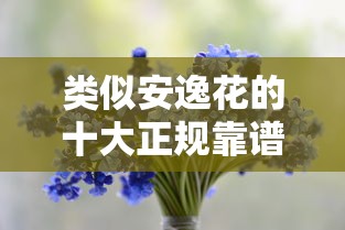 类似安逸花的十大正规靠谱贷款平台推荐