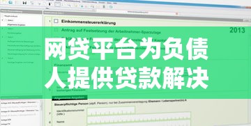 网贷平台为负债人提供贷款解决方案：利弊分析与申请指南
