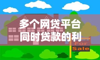 多个网贷平台同时贷款的利弊分析与风险防范指南