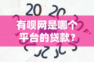 有呗网是哪个平台的贷款？详细解析平台背景及产品特点