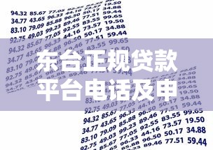 东台正规贷款平台电话及申请指南：快速获取资金联系方式