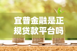 宜普金融是正规贷款平台吗？资质、产品及用户评价详解