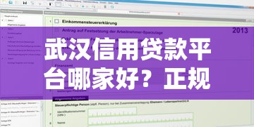 武汉信用贷款平台哪家好？正规机构推荐及申请攻略