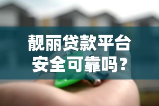 靓丽贷款平台安全可靠吗？真实评测与用户反馈解析