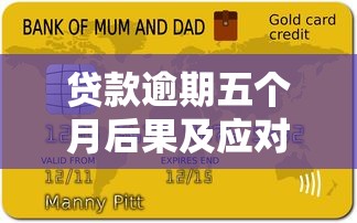 贷款逾期五个月后果及应对措施全解析
